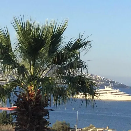 Muhafazakar Aileye Tam Korunakli Oezel Havuzlu Malikane 8+2 호텔 Bodrum