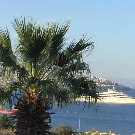 Muhafazakar Aileye Tam Korunaklı özel Havuzlu Malikane 8+2 Villa Bodrum